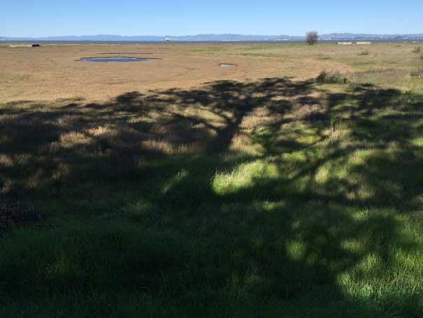 Point Pinole Regional Shoreline