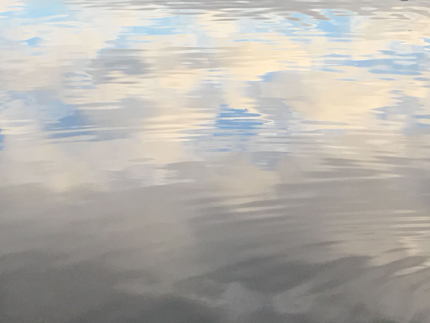 Lake Merritt, Oakland, California